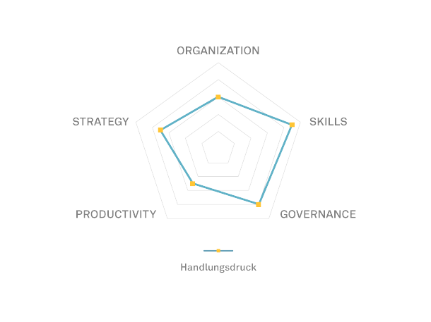 Fünf Felder in denen der Handlungsdruck besonders ausgeprägt ist: Skills, Governance, Productivity, Strategy, Organization