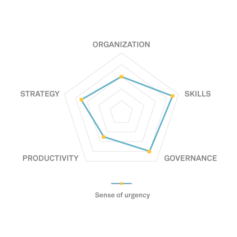 Five fields in which the pressure to act is particularly pronounced: Skills, Governance, Productivity, Strategy, Organization
